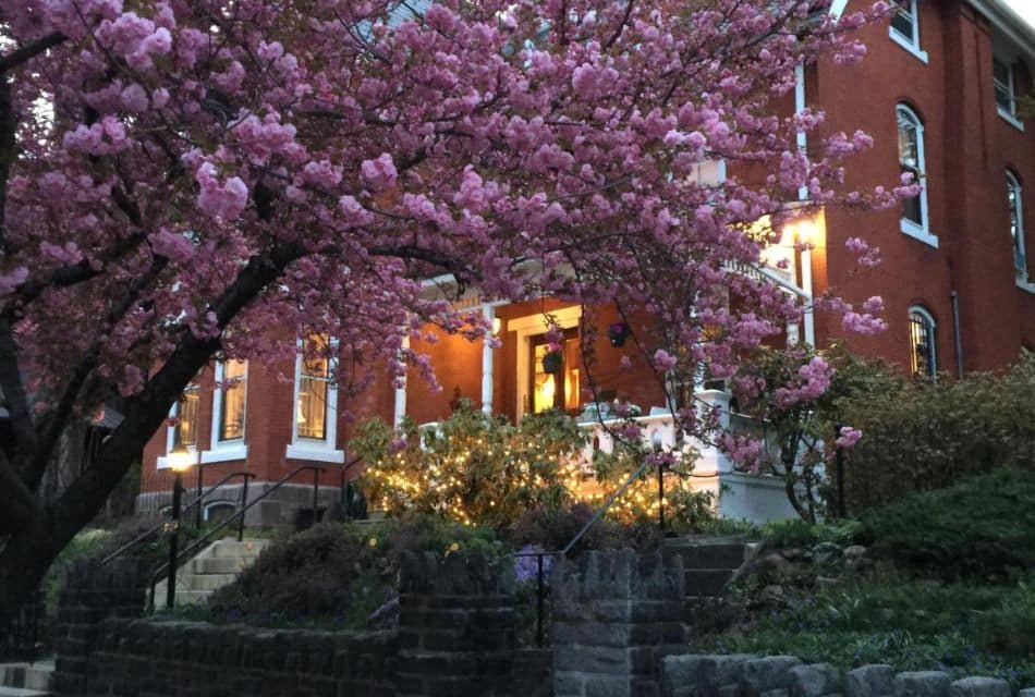 Front facade of a large brick home with white-trimmed arched windows, glowing light by the front door and large flowering tree at the bottom of the front steps